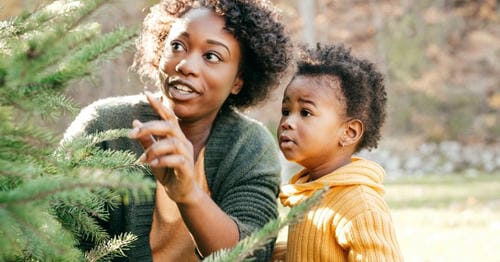Out in woodland scenery, a Black mother points toward evergreen tree branches and explains natural details, guiding her curious toddler to observe and learn about nature.