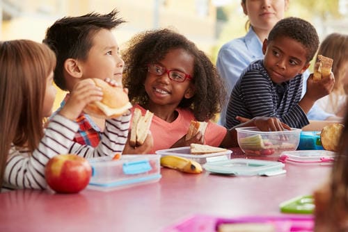 A group of schoolchildren chat cheerfully while eating packed lunches including sandwiches, fresh apples and bananas, happily accepting their nutritious food.